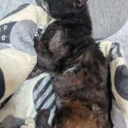 ヒメ日記 2026/04/17 18:29 投稿 星野 MadameRest(マダムレスト)