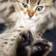 ヒメ日記 2026/04/25 09:33 投稿 星野 MadameRest(マダムレスト)