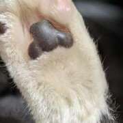 星野 本日もありがとうございました😆 MadameRest(マダムレスト)