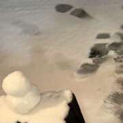 ヒメ日記 2025/03/08 06:40 投稿 えな ハニープラザ（ユメオト）