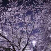 ヒメ日記 2025/04/14 18:26 投稿 えな ハニープラザ（ユメオト）