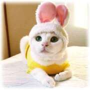 ヒメ日記 2025/02/02 10:02 投稿 えりこ タレント倶楽部Around40