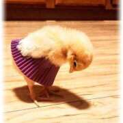 ヒメ日記 2025/03/28 16:02 投稿 えりこ タレント倶楽部Around40