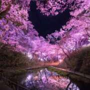 ヒメ日記 2025/04/06 10:06 投稿 えりこ タレント倶楽部Around40