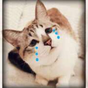 ヒメ日記 2025/05/19 09:36 投稿 えりこ タレント倶楽部Around40