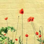 ヒメ日記 2025/05/27 10:06 投稿 えりこ タレント倶楽部Around40