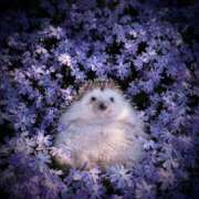 ヒメ日記 2025/10/08 11:20 投稿 えりこ タレント倶楽部Around40