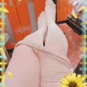 ヒメ日記 2025/09/20 10:53 投稿 かいり 錦糸町 夜這右衛門娼店～夜這・即尺・痴漢・人妻～