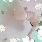 ヒメ日記 2025/10/14 14:56 投稿 かいり 錦糸町 夜這右衛門娼店～夜這・即尺・痴漢・人妻～