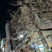 ヒメ日記 2026/04/02 21:06 投稿 りょう ミセスハンドセラピー