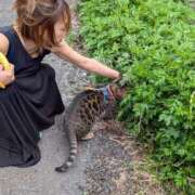 ヒメ日記 2026/04/06 16:34 投稿 りょう ミセスハンドセラピー