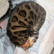 ヒメ日記 2026/04/07 22:14 投稿 りょう ミセスハンドセラピー