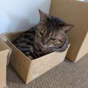 ヒメ日記 2026/04/14 11:35 投稿 りょう ミセスハンドセラピー