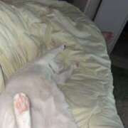 ヒメ日記 2026/04/15 10:41 投稿 りょう ミセスハンドセラピー