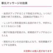 ヒメ日記 2024/07/25 12:40 投稿 ひびき 山梨甲府甲斐ちゃんこ