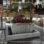 ヒメ日記 2025/01/18 13:38 投稿 るい スチュワーデス