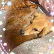 ヒメ日記 2025/03/08 20:40 投稿 るい スチュワーデス