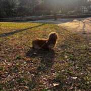 ヒメ日記 2025/04/19 23:58 投稿 るい スチュワーデス