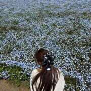 ヒメ日記 2025/05/18 16:45 投稿 るい スチュワーデス