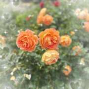 ヒメ日記 2025/06/02 14:26 投稿 るい スチュワーデス