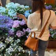 ヒメ日記 2025/06/27 12:19 投稿 るい スチュワーデス