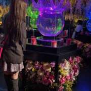 ヒメ日記 2025/10/16 15:47 投稿 るい スチュワーデス