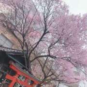 ヒメ日記 2026/04/01 13:19 投稿 りこ DRAMA（ドラマ）