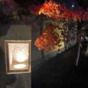 ヒメ日記 2024/12/31 21:02 投稿 とき AVANCE福岡