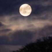 ヒメ日記 2025/01/14 21:31 投稿 とき AVANCE福岡