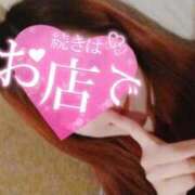 ヒメ日記 2025/02/12 14:05 投稿 じゅんな ルネッサンス