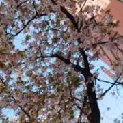 ヒメ日記 2025/04/16 19:45 投稿 じゅんな ルネッサンス