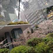 ヒメ日記 2026/03/31 23:00 投稿 じゅんな ルネッサンス