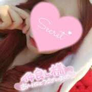 ヒメ日記 2026/04/14 23:45 投稿 じゅんな ルネッサンス