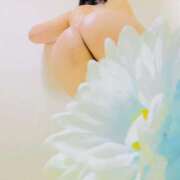 ヒメ日記 2024/12/16 01:34 投稿 りぼん アニバーサリー