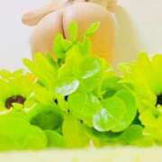 ヒメ日記 2025/01/17 23:48 投稿 りぼん アニバーサリー