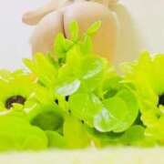 ヒメ日記 2025/03/08 01:42 投稿 りぼん アニバーサリー