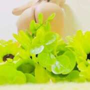 ヒメ日記 2025/03/28 23:04 投稿 りぼん アニバーサリー