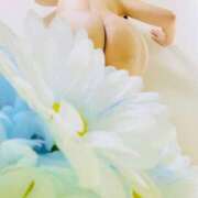 ヒメ日記 2025/04/06 00:24 投稿 りぼん アニバーサリー