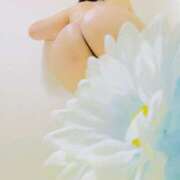 ヒメ日記 2025/04/25 01:24 投稿 りぼん アニバーサリー