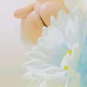 ヒメ日記 2025/05/06 21:56 投稿 りぼん アニバーサリー