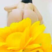 ヒメ日記 2025/05/10 01:23 投稿 りぼん アニバーサリー