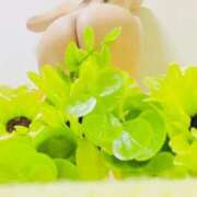 ヒメ日記 2025/05/14 01:38 投稿 りぼん アニバーサリー