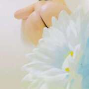 ヒメ日記 2025/05/17 00:00 投稿 りぼん アニバーサリー