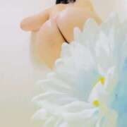 ヒメ日記 2025/06/20 02:40 投稿 りぼん アニバーサリー