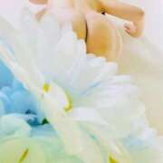 ヒメ日記 2025/07/14 03:43 投稿 りぼん アニバーサリー