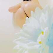 ヒメ日記 2025/08/05 06:25 投稿 りぼん アニバーサリー