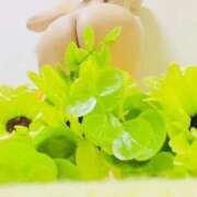 ヒメ日記 2025/09/22 06:26 投稿 りぼん アニバーサリー