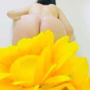 ヒメ日記 2025/11/01 01:27 投稿 りぼん アニバーサリー