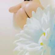 ヒメ日記 2025/11/08 23:06 投稿 りぼん アニバーサリー