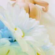 ヒメ日記 2025/12/23 04:09 投稿 りぼん アニバーサリー